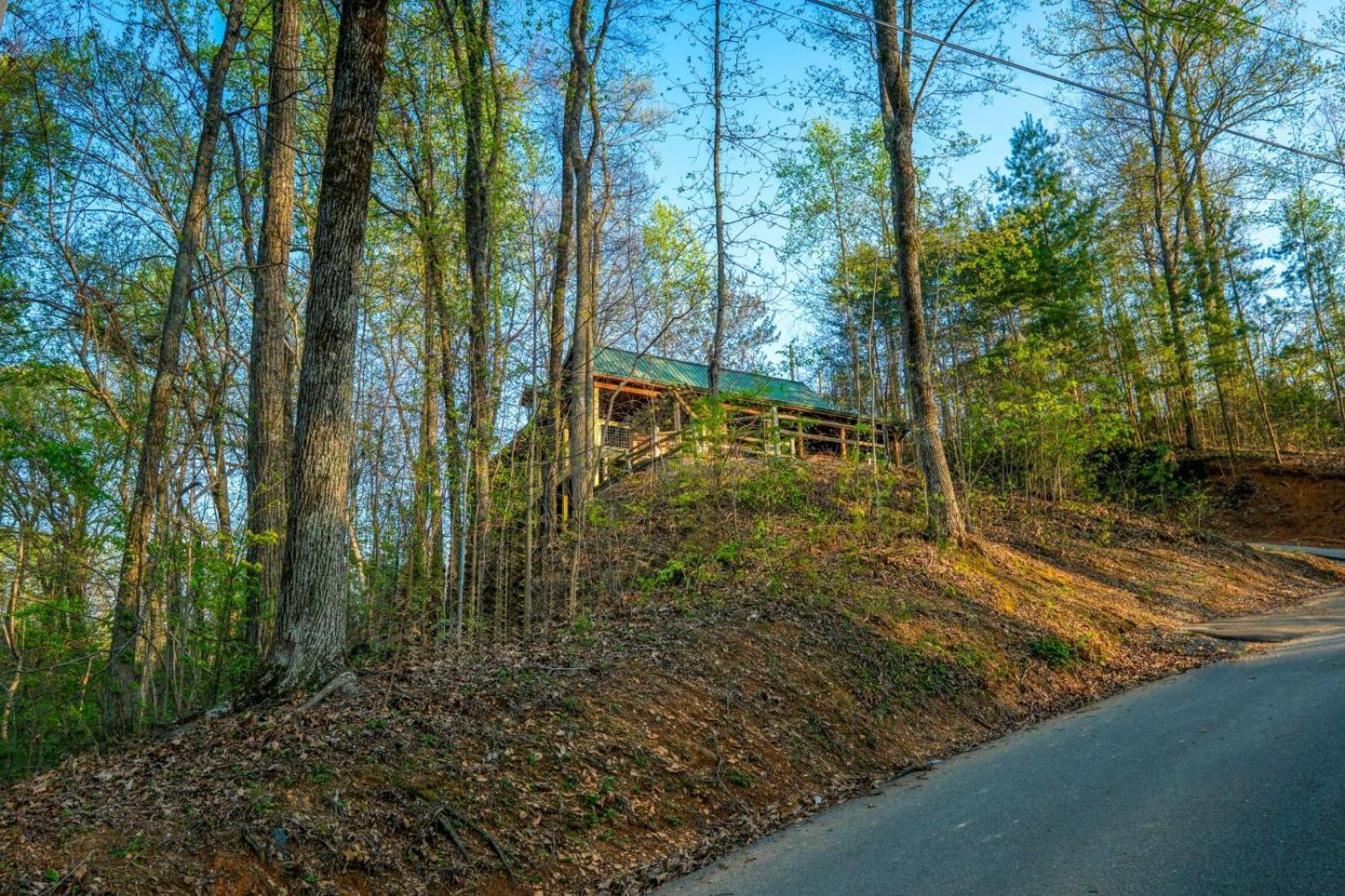 Little Bear Cabin 蓋特林堡 外观 照片